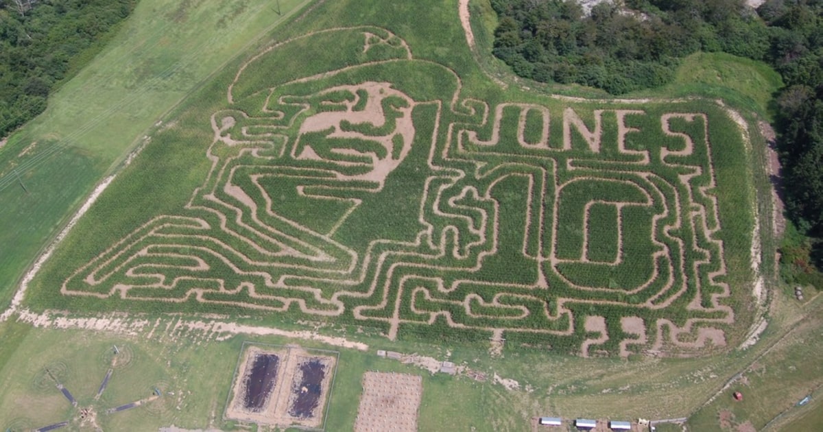 Get lost in these 5 amazing corn mazes